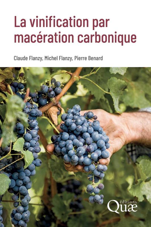 La vinification par macération carbonique