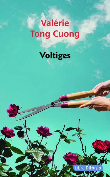 Voltiges