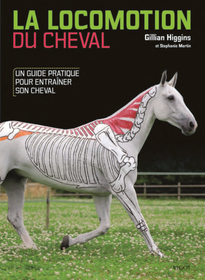 La locomotion du cheval