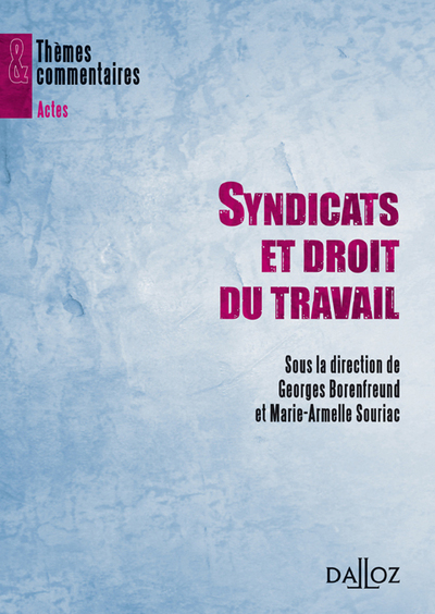 Syndicats Et Droit Du Travail - 1Ere Edition - Themes Et Commentaires - Marie-Armelle Souriac