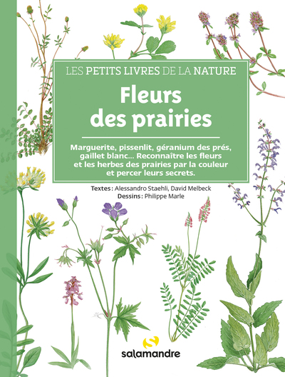 Les petits livres de la nature - Fleurs des prairies