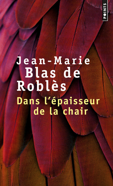 Dans l'épaisseur de la chair - Jean-Marie Blas de Roblès