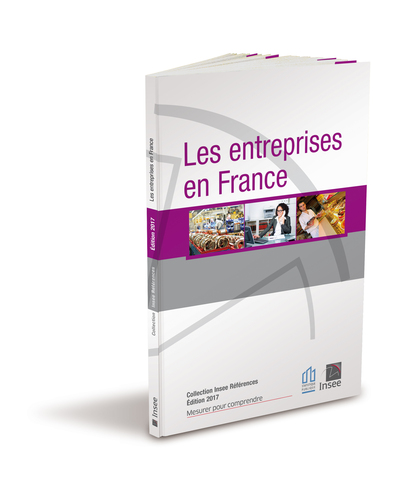 Les Entreprises En France 2017