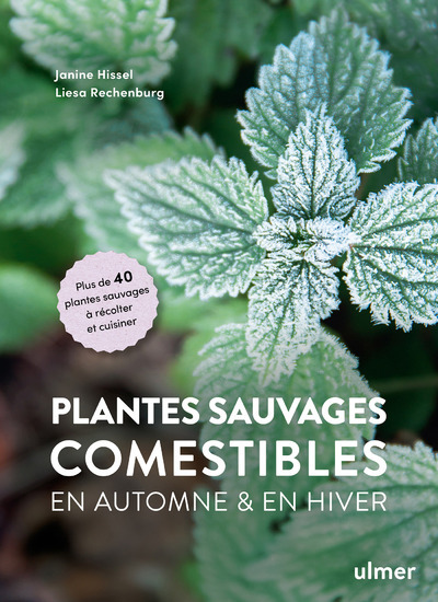 Plantes sauvages comestibles en automne et en hiver