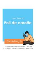 Réussir son Bac de français 2024 : Analyse de Poil de carotte de Jules Renard