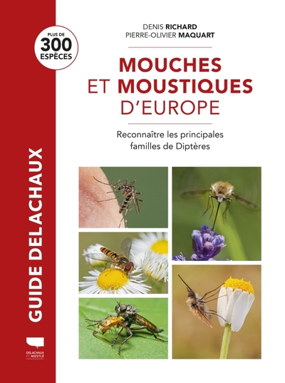 Mouches et moustiques - Denis Richard