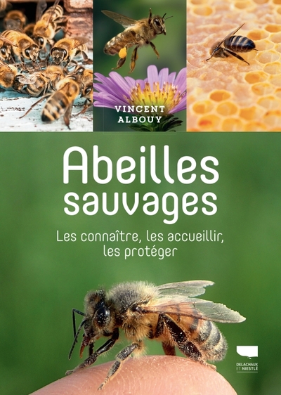 Abeilles sauvages - Vincent Albouy