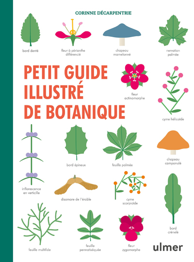 Petit Guide Illustré De Botanique