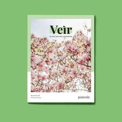 Veir Magazine- Numero 17 - Pouvoir