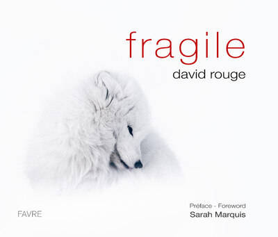 Fragile