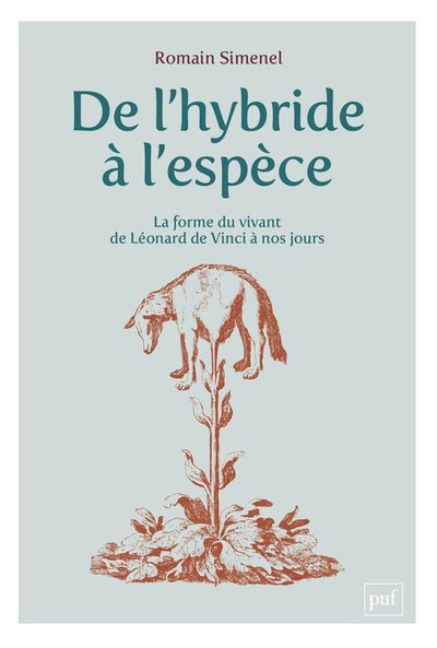 De l'hybride à l'espèce - Romain Simenel