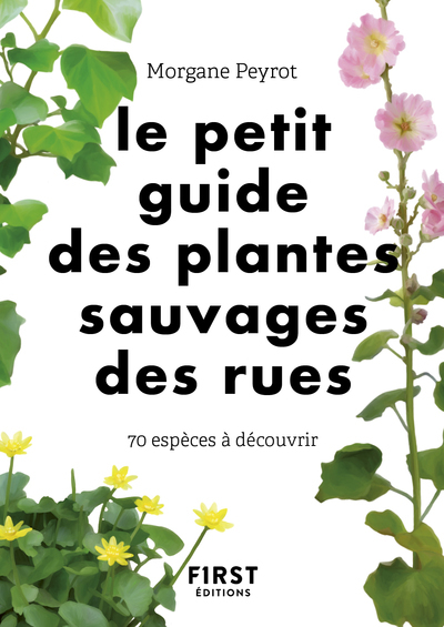 Petit guide des herbes sauvages des villes