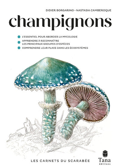 Champignons