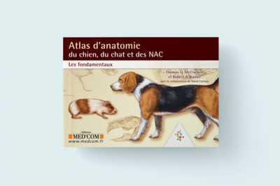 Atlas d'anatomie du chien, du chat et des NAC / les fondamentaux