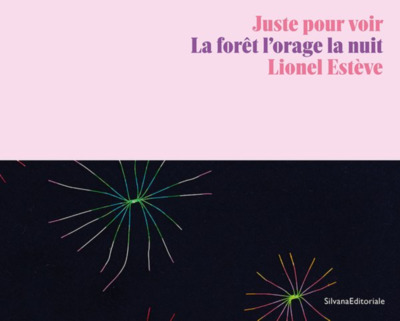 Lionel Esteve : Juste Pour Voir, La Foret L Orage La Nuit