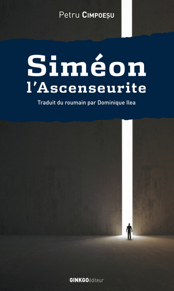 Siméon l'ascenseurite - roman avec anges et Moldaves