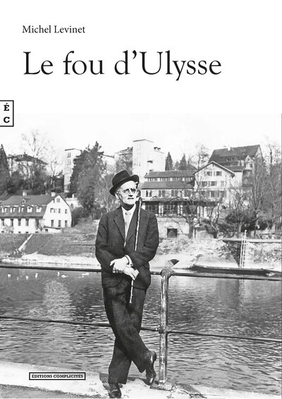 Le Fou D'Ulysse, Roman