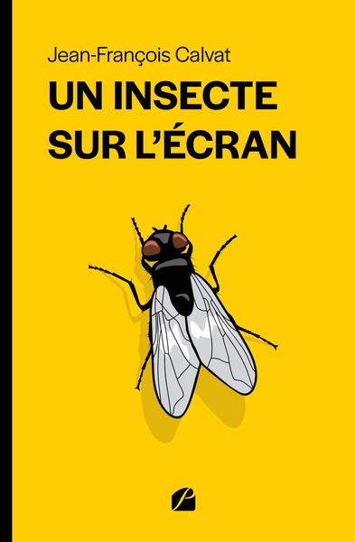 Un insecte sur l'écran