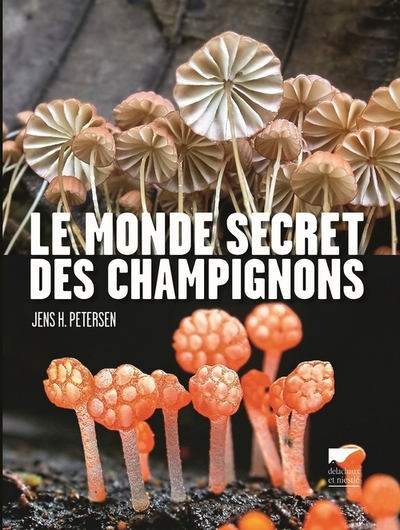 Le Monde secret des champignons - Jens H. Petersen