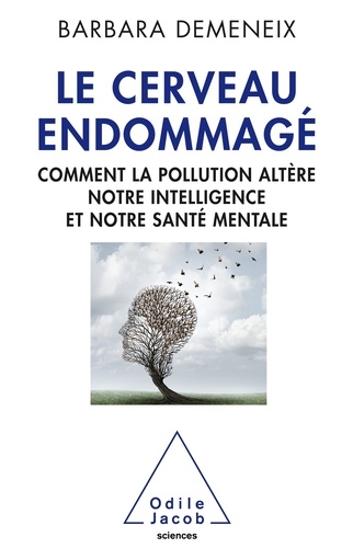 Le cerveau endommagé. Comment la pollution altère notre intelligence et notre santé mentale