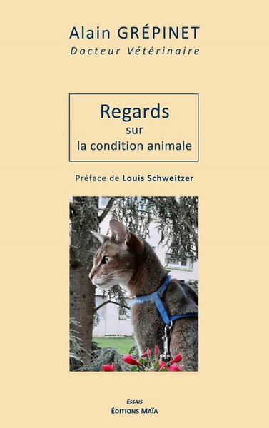 Regards sur la condition animale