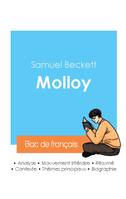 Réussir son Bac de français 2024 : Analyse de Molloy de Samuel Beckett