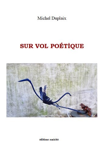 Sur vol poEtique - Michel Duplaix