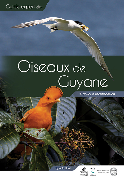 Oiseaux de Guyane Manuel d'identification