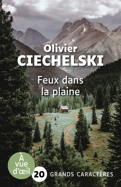 Feux dans la plaine - Olivier Ciechelski