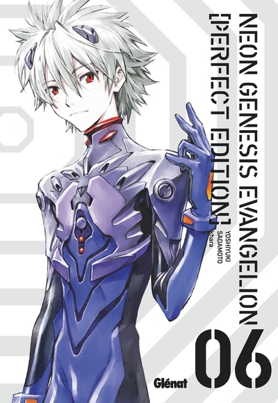 Neon Genesis Evangelion Volume 6