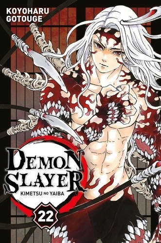 Demon Slayer Volume 22