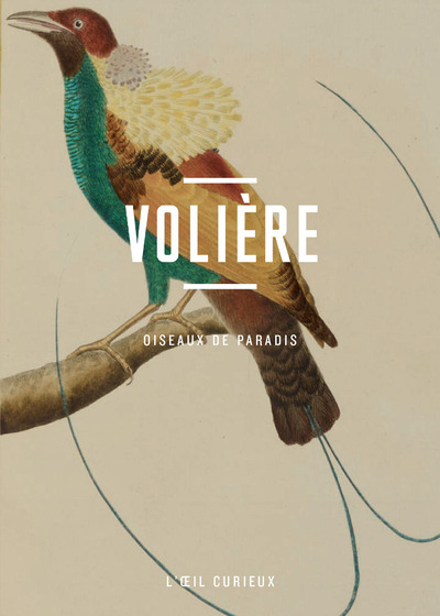 Volière - Oiseaux de paradis - Corinne Le Bitouzé