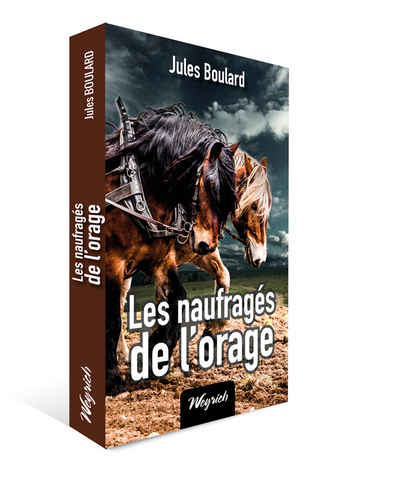 Les Naufrages De L'Orage