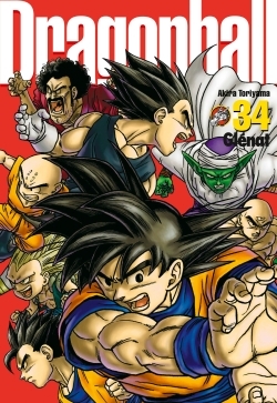 Dragon Ball perfect edition Volume 34