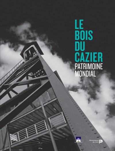 La catastrophe du Bois du Cazier : 8 août 1956 - Alain Forti, Joosten