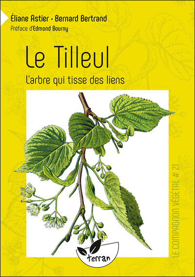 Le tilleul