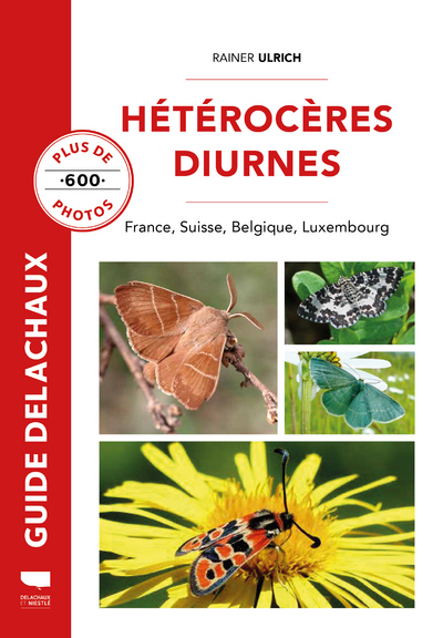 Hétérocères diurnes - Rainer Ulrich