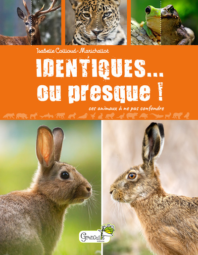 Identiques... ou presque ! Ces animaux à ne pas confondre