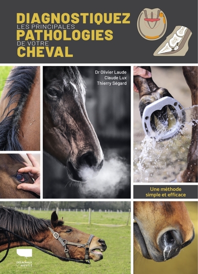 Diagnostiquer les principales pathologies de votre cheval