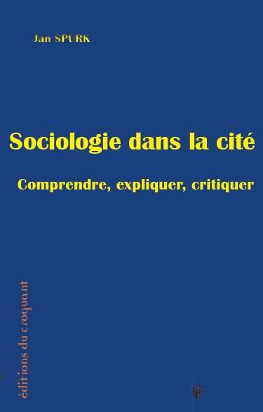 Sociologie Dans La Cite, Comprendre, Expliquer, Critiquer