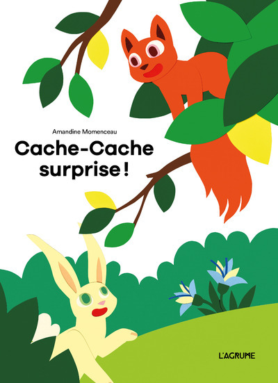 Cache-cache surprise ! - Amandine Momenceau