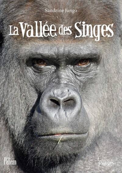 La vallée des singes - Sandrine Jungo