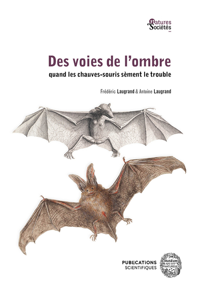 Des voies de l’ombre quand les chauves-souris sèment le trouble