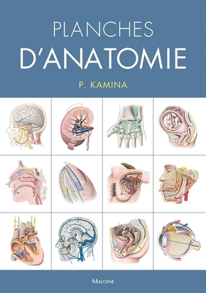 Planches D'Anatomie Humaine. 31 Planches. Reliure A Spirale, 3e Éd.