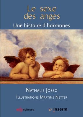 sexe des anges (le) - Josso nathalie