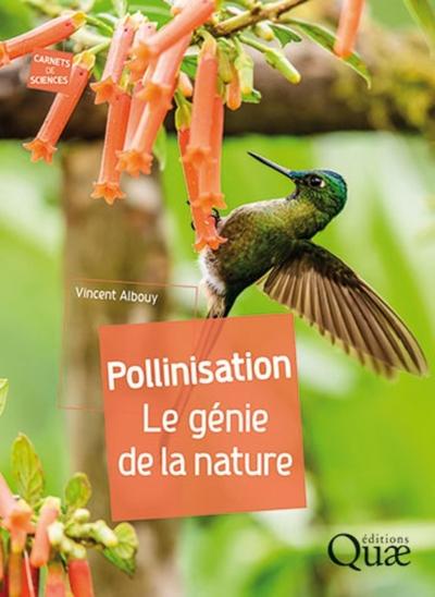 Pollinisation