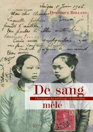 De Sang Mêlé, Chroniques Du Métissage En Indochine