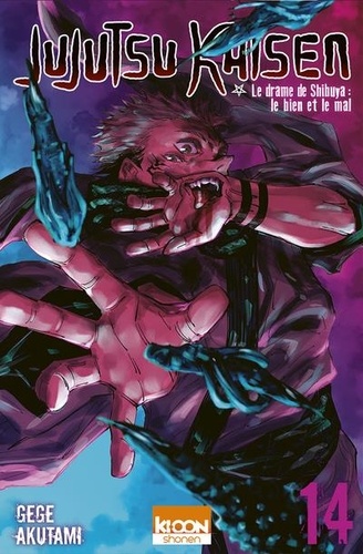 Jujutsu Kaisen Volume 14