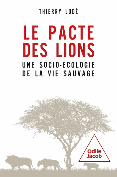 Le pacte des lions