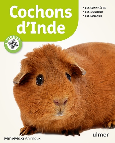 Cochons d'Inde - Georg Gassner